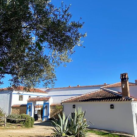 El Molino De La Quinta Daire Constantina Dış mekan fotoğraf